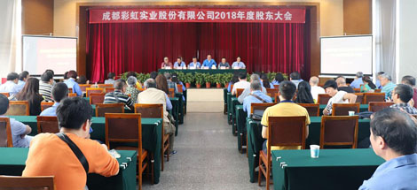 成都九球体育(China)官方网站实业股份有限公司2018年度股东大会
